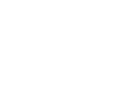 BMW Berlin Marathon
